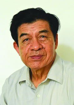Bài thơ Buồm nâu phập phồng của tác giả Quang Hoài